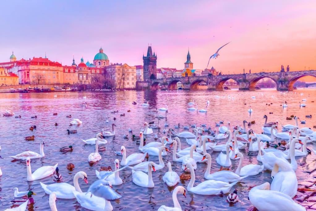 Capitol Deluxe * Praha